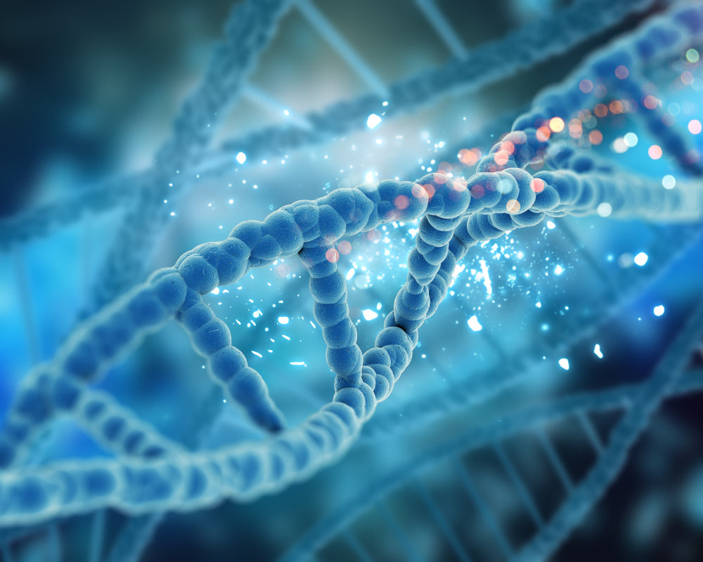 What is it and why to choose Nano CBD?